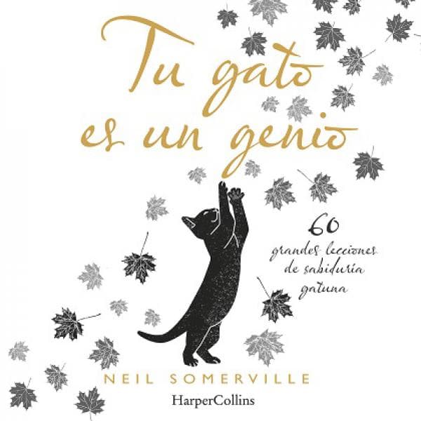 TU GATO ES UN GENIO