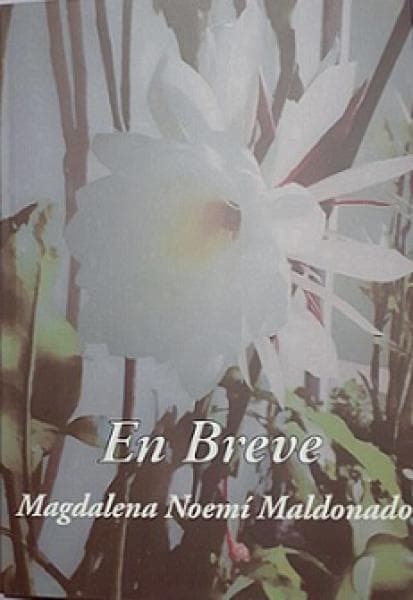 EN BREVE