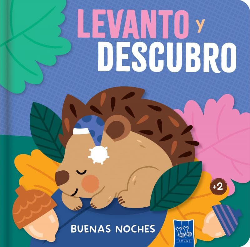 LEVANTO Y DESCUBRO - BUENAS NOCHES