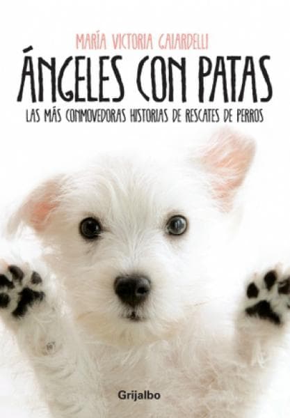 ANGELES CON PATAS