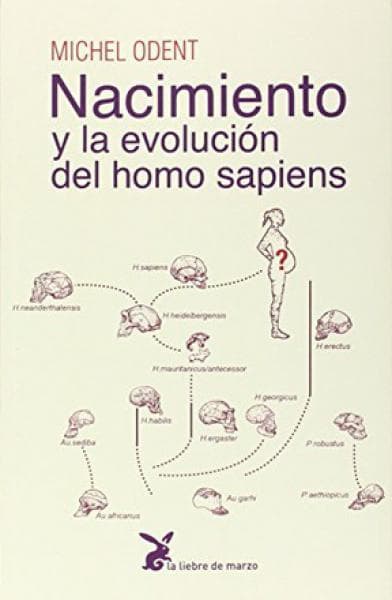 NACIMIENTO Y LA EVOLUCION DEL HOMO SAPIE