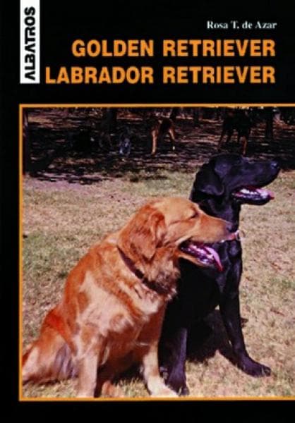 GOLDEN RETRIEVER-LABRADOR RETRIEVER