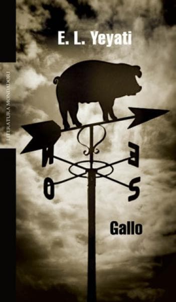 GALLO                                   