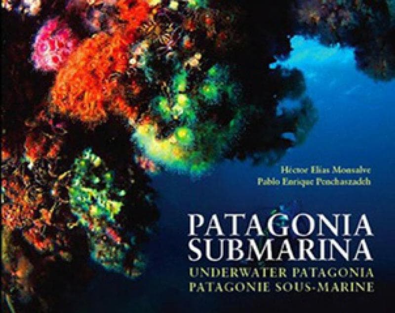 PATAGONIA SUBMARINA