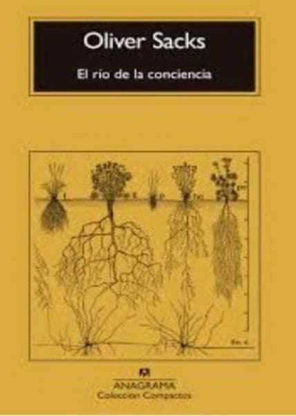 EL RIO DE LA CONCIENCIA