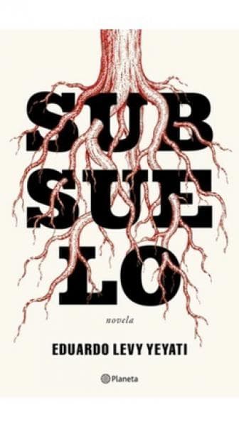 SUBSUELO